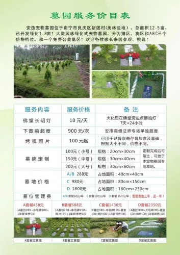 宠物墓地(图2)