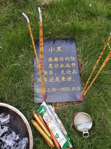 安逸宠物殡葬9月集体下葬仪式(图4)